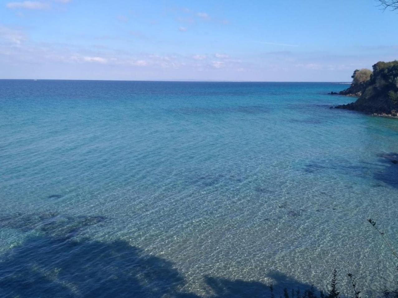 Villa Dionysia Amoudi Exteriér fotografie